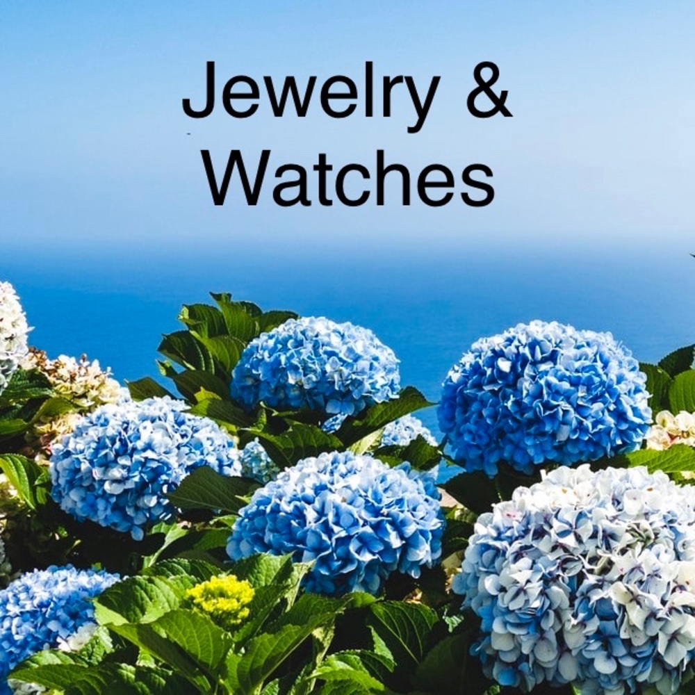 Jewelry & Watches